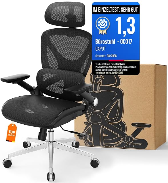 CAPOT ergonomic office chair with adjustable lumbar support and headrest